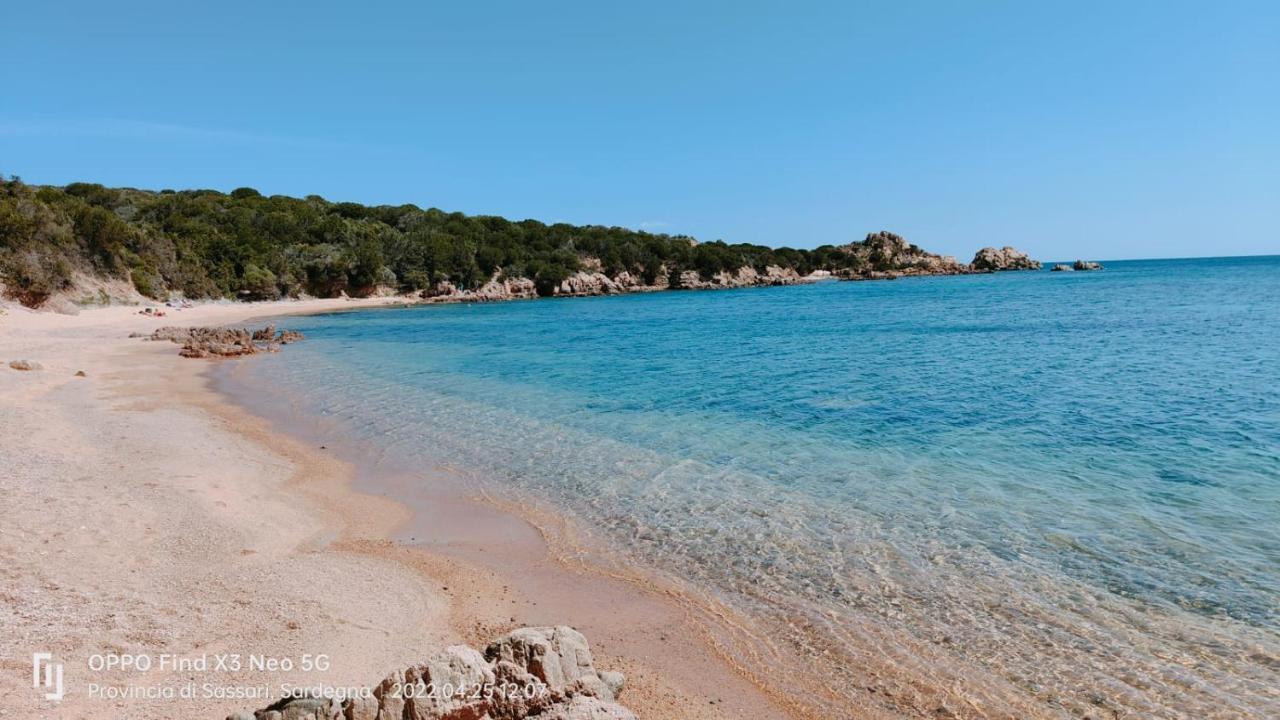 Casa Mughetto R5055 Seafront, Private Sea Access, Swimming Pool Villa La Maddalena  Exterior foto