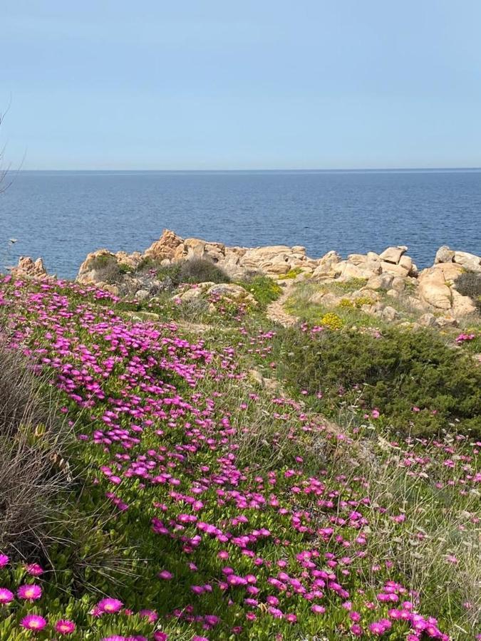 Casa Mughetto R5055 Seafront, Private Sea Access, Swimming Pool Villa La Maddalena  Exterior foto