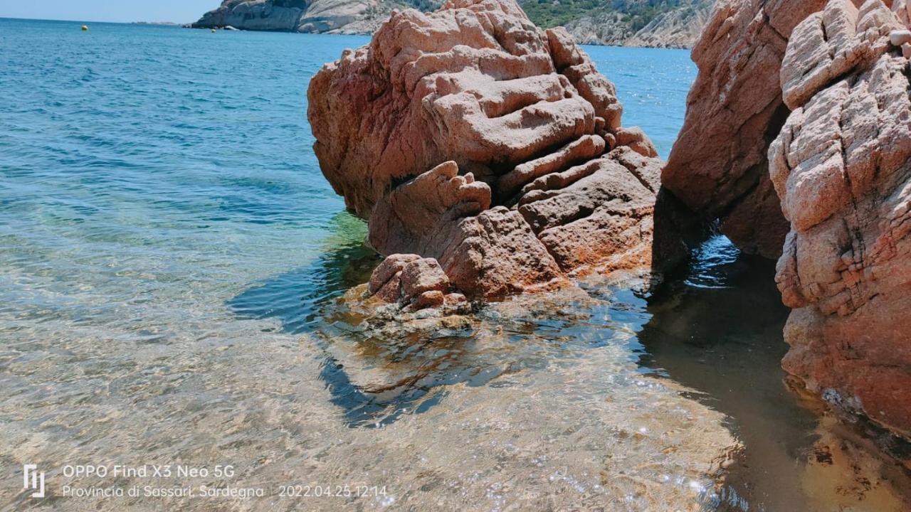 Casa Mughetto R5055 Seafront, Private Sea Access, Swimming Pool Villa La Maddalena  Exterior foto