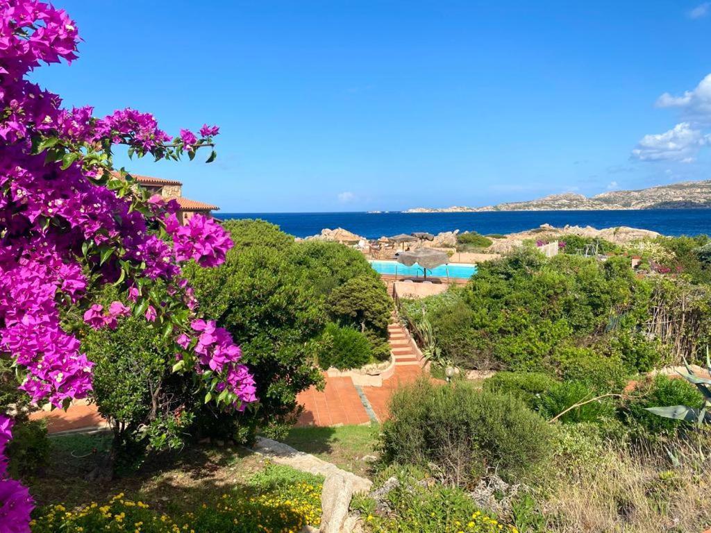 Casa Mughetto R5055 Seafront, Private Sea Access, Swimming Pool Villa La Maddalena  Exterior foto