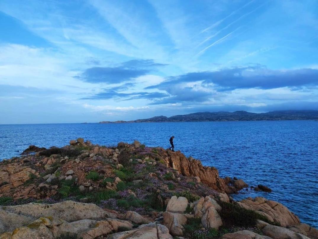 Casa Mughetto R5055 Seafront, Private Sea Access, Swimming Pool Villa La Maddalena  Exterior foto